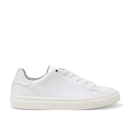 Clay Sneakers